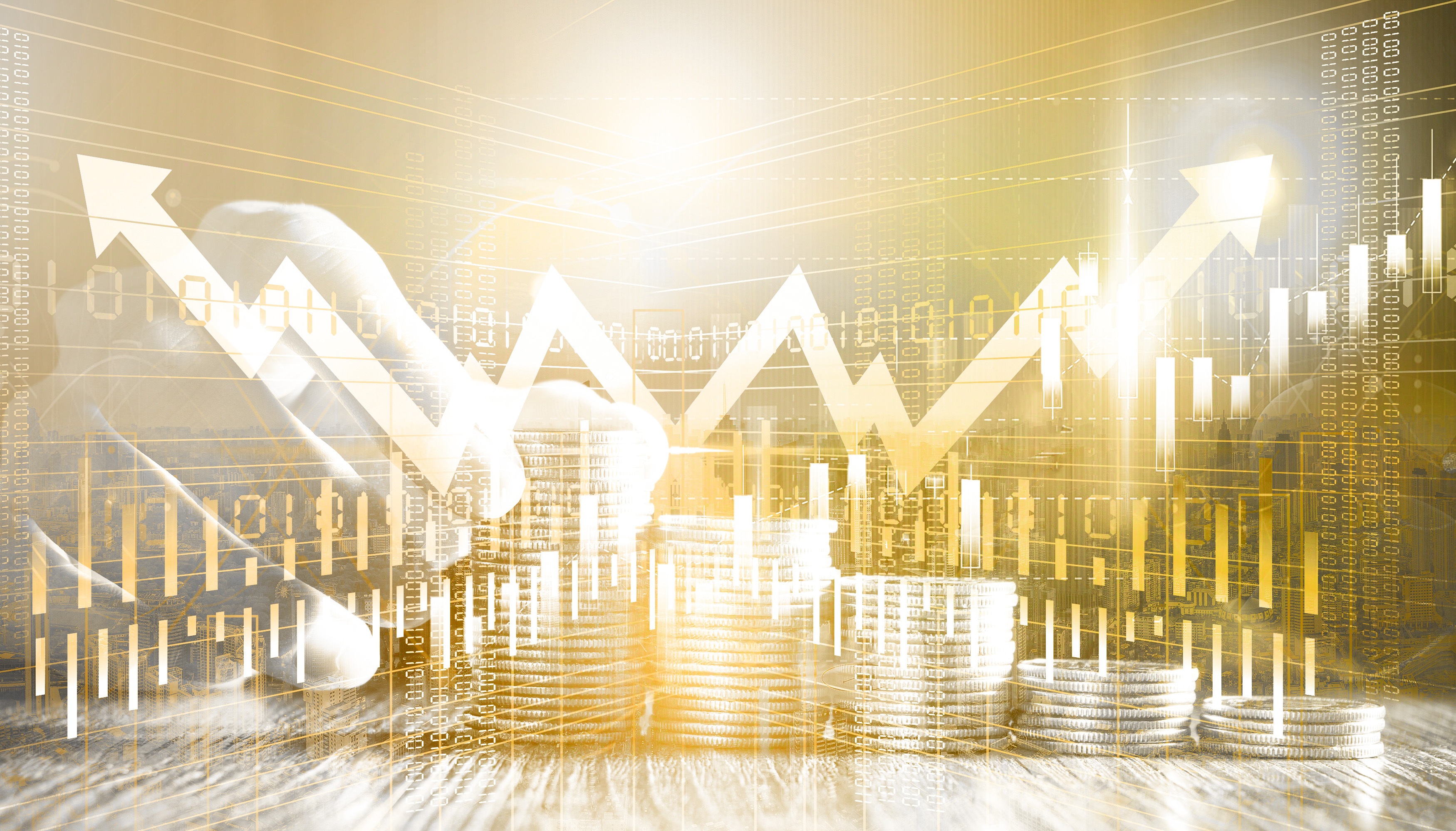 业主支付担保服务